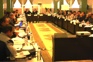 BRD Elections Workshop